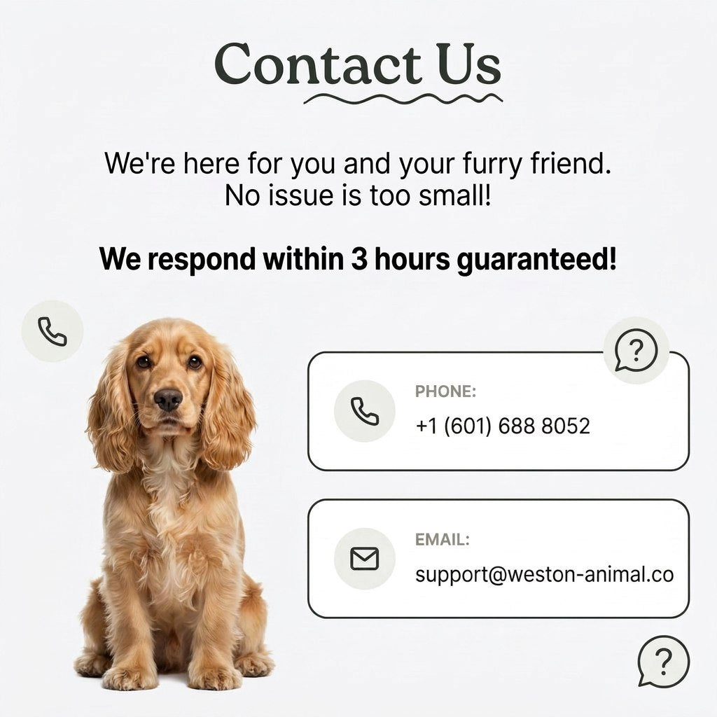 Taurine for Dogs | Heart, Vision & Immune Support Powder