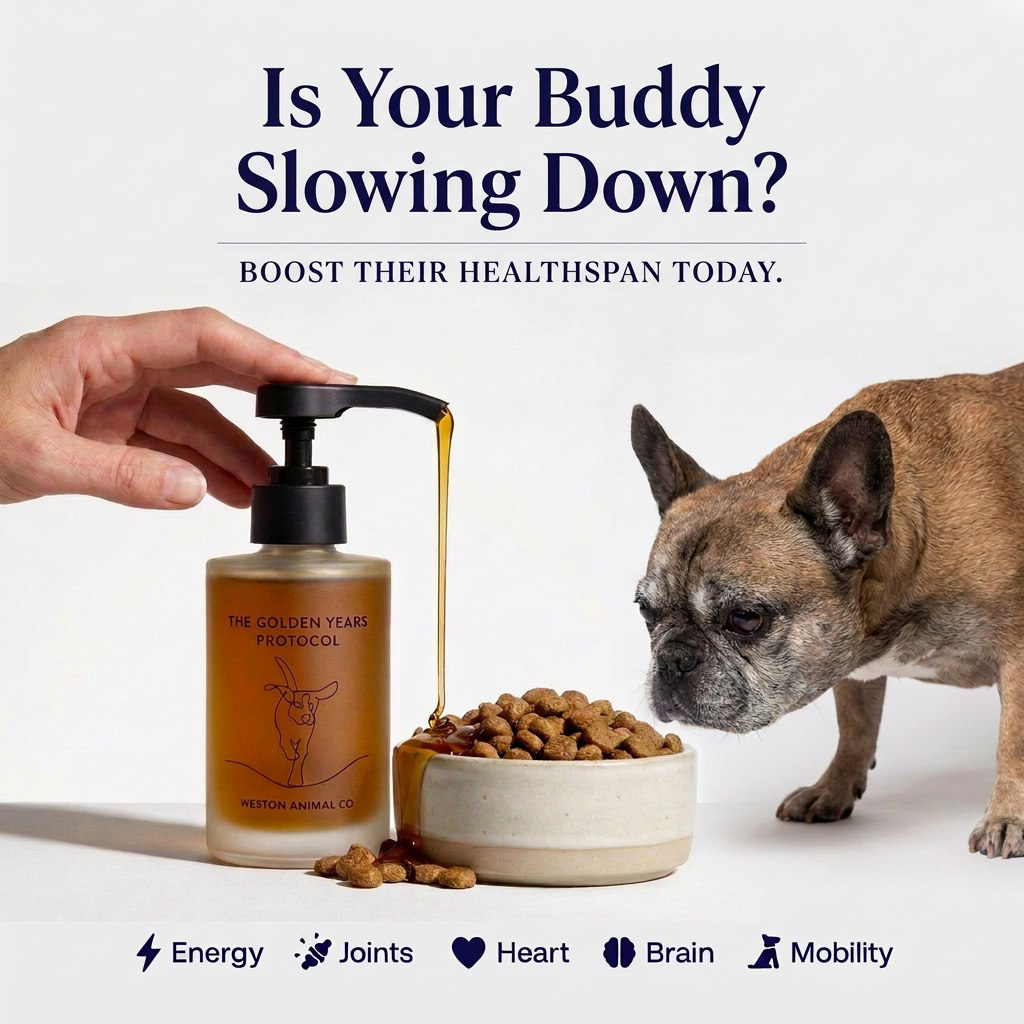 Golden Years Protocol - Boost Their Healthspan