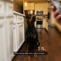 Review image 1