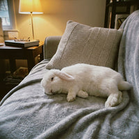 Review image 1
