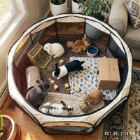 Review image 1