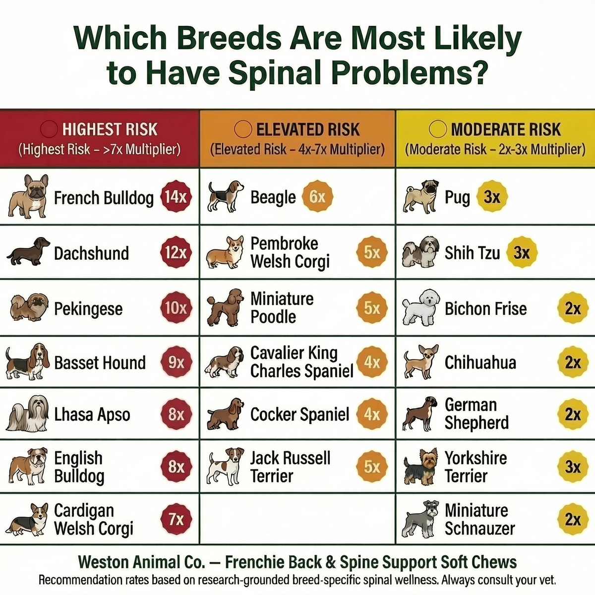 Check Your Dog's Breed