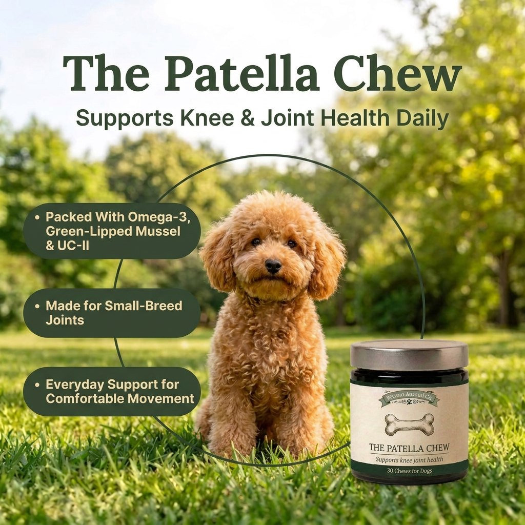 Patella Soft Chews