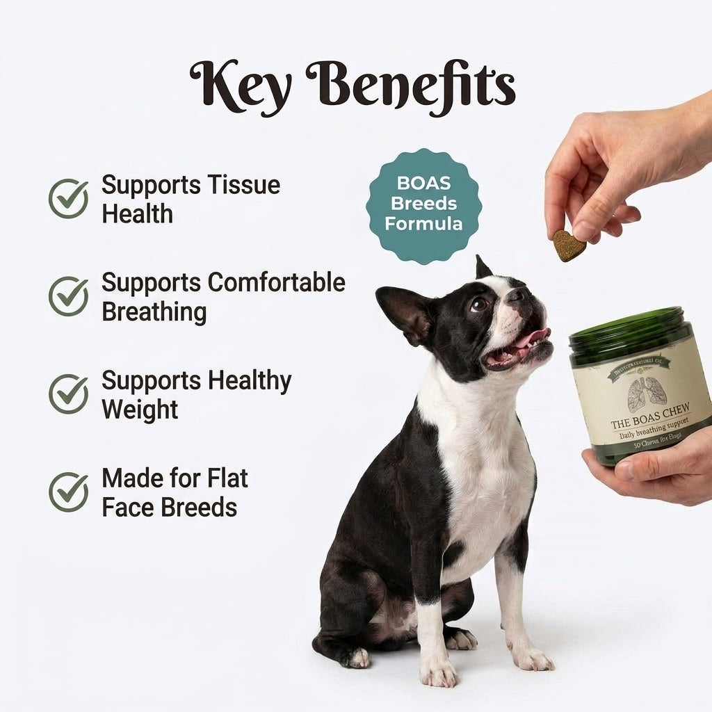 BOAS Breathing Support Chews