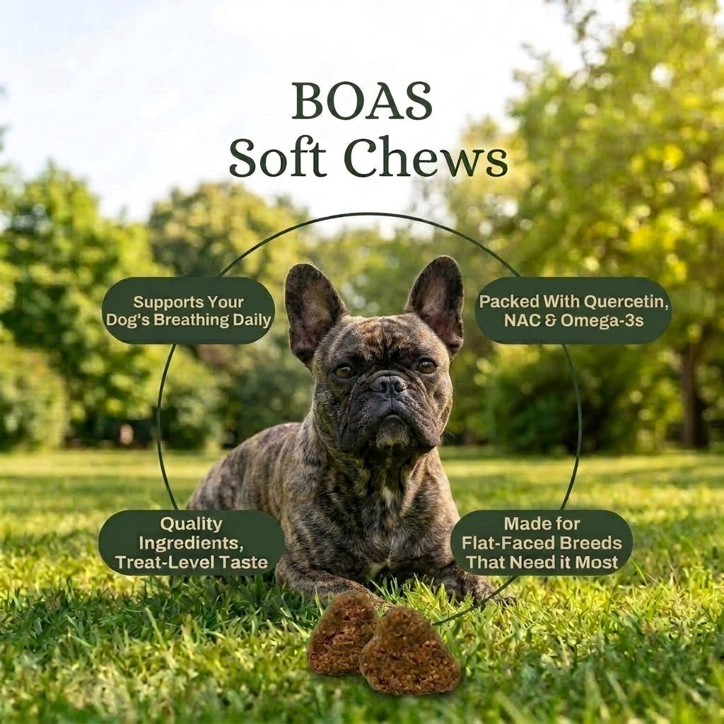 Breathing Support Chews for Frenchies with BOAS