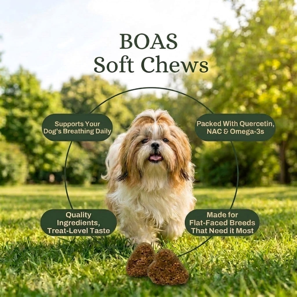 BOAS Breathing Support Chews