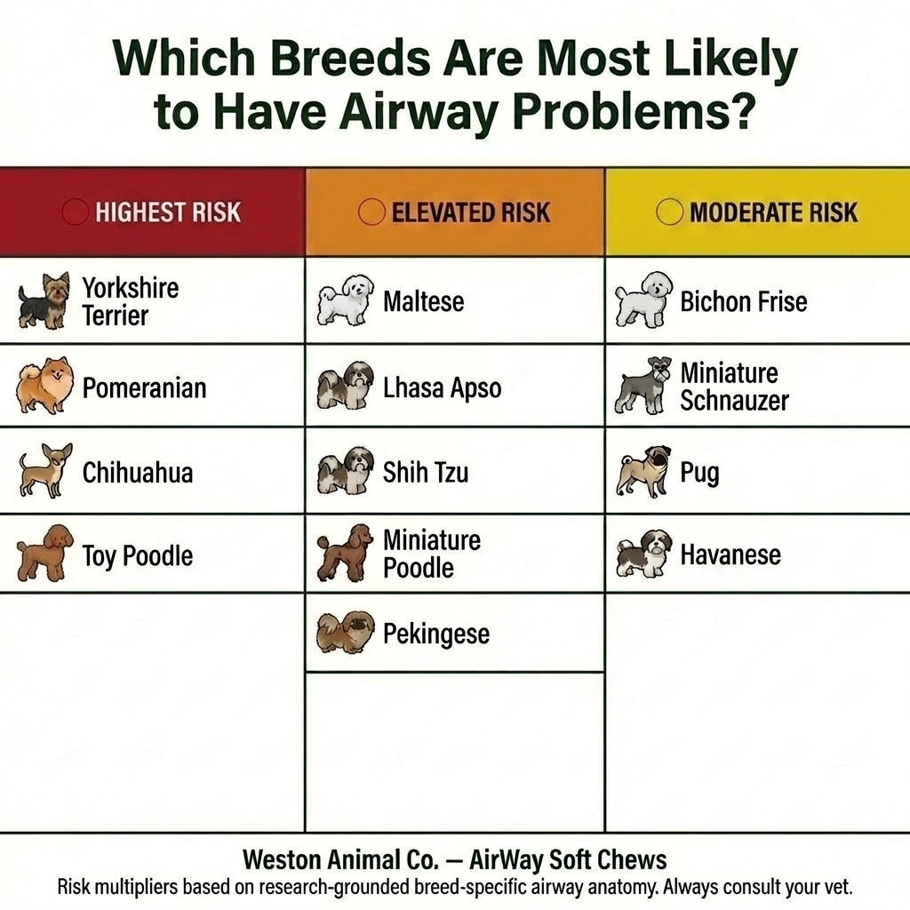 Airway Support Soft Chews for Small Breeds