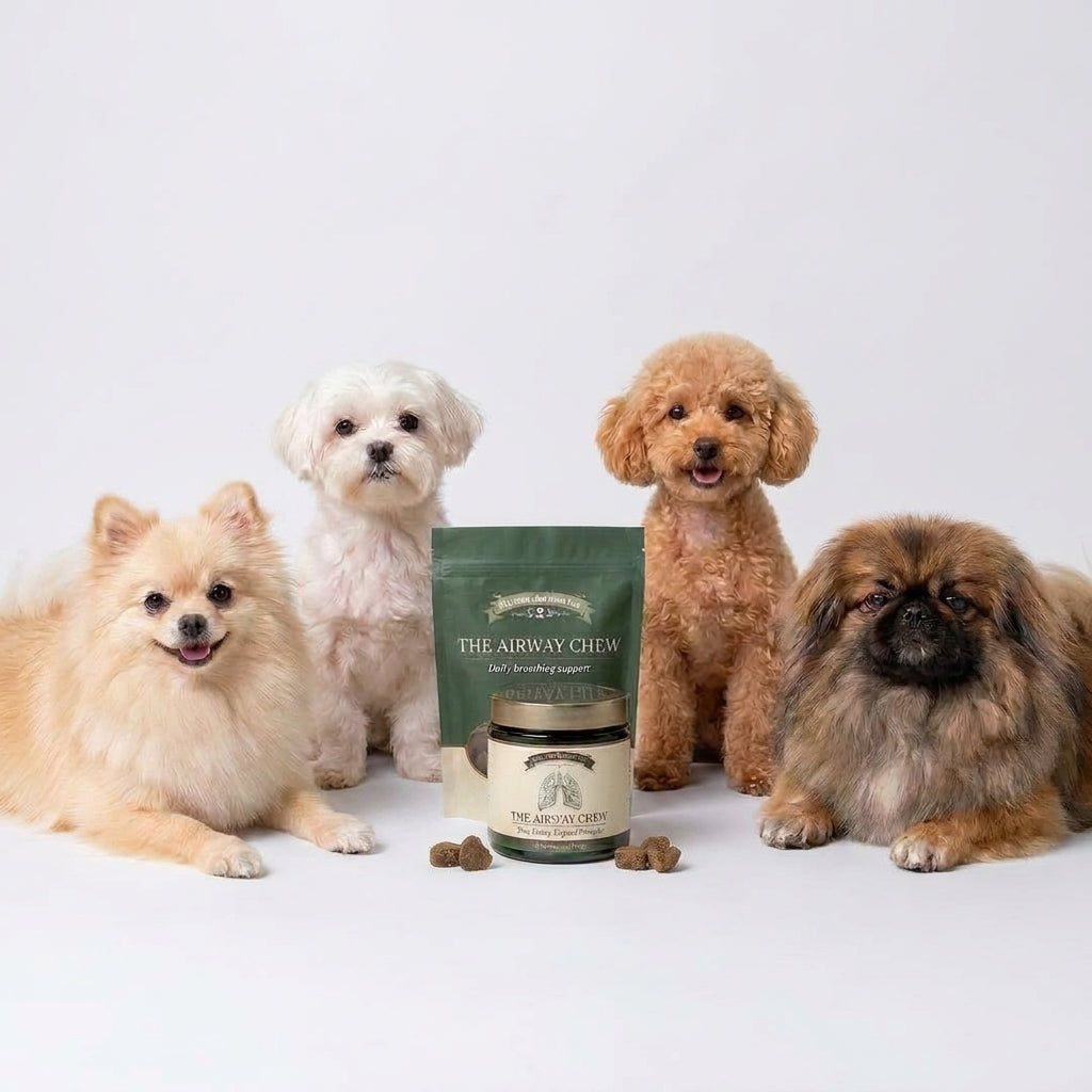 Airway Support Soft Chews for Small Breeds