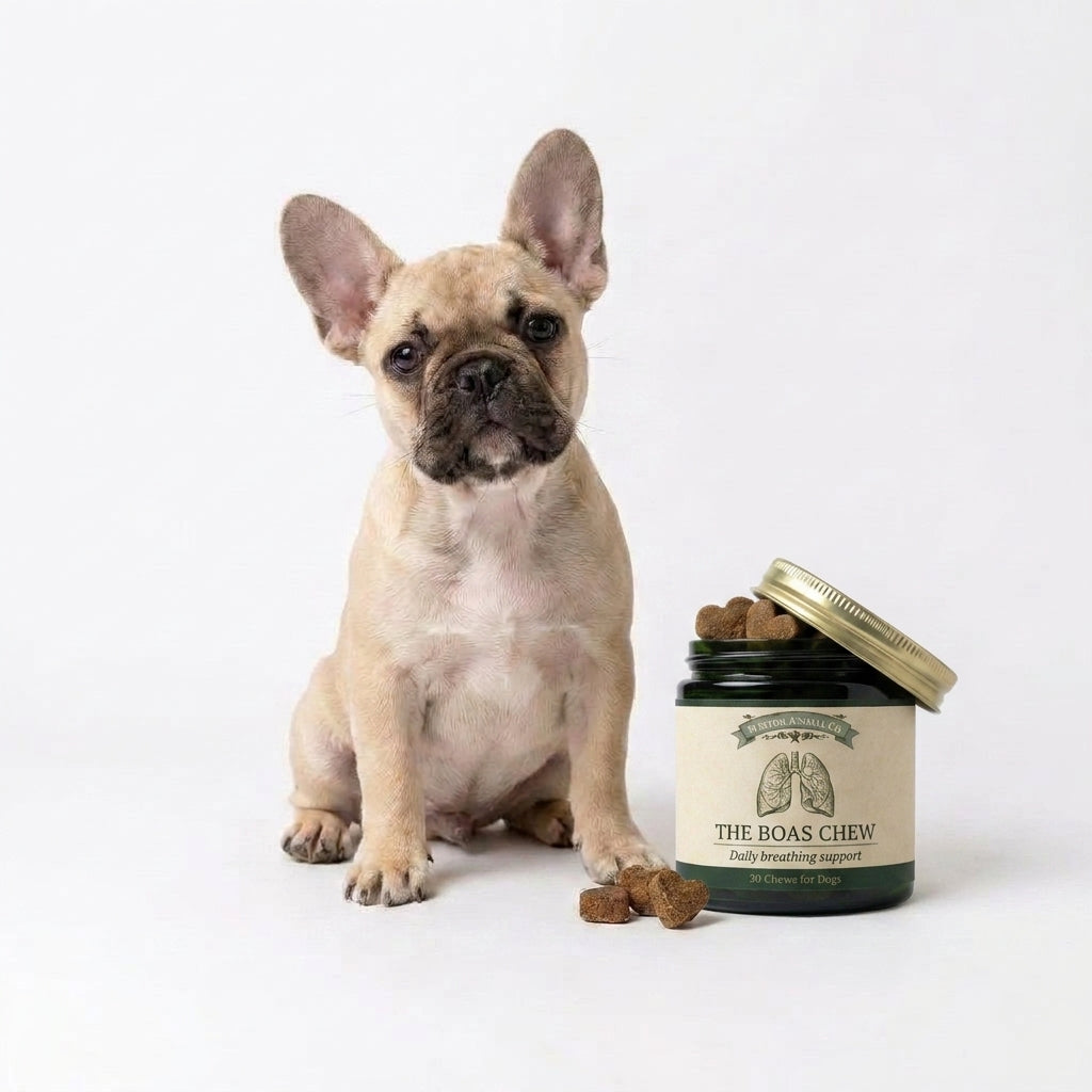 Breathing Support Chews for Frenchies with BOAS
