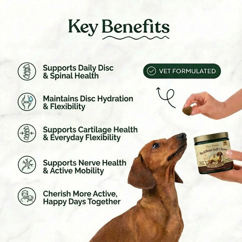 Back Bone Soft Chews