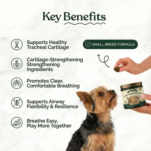 Airway Support Soft Chews for Small Breeds