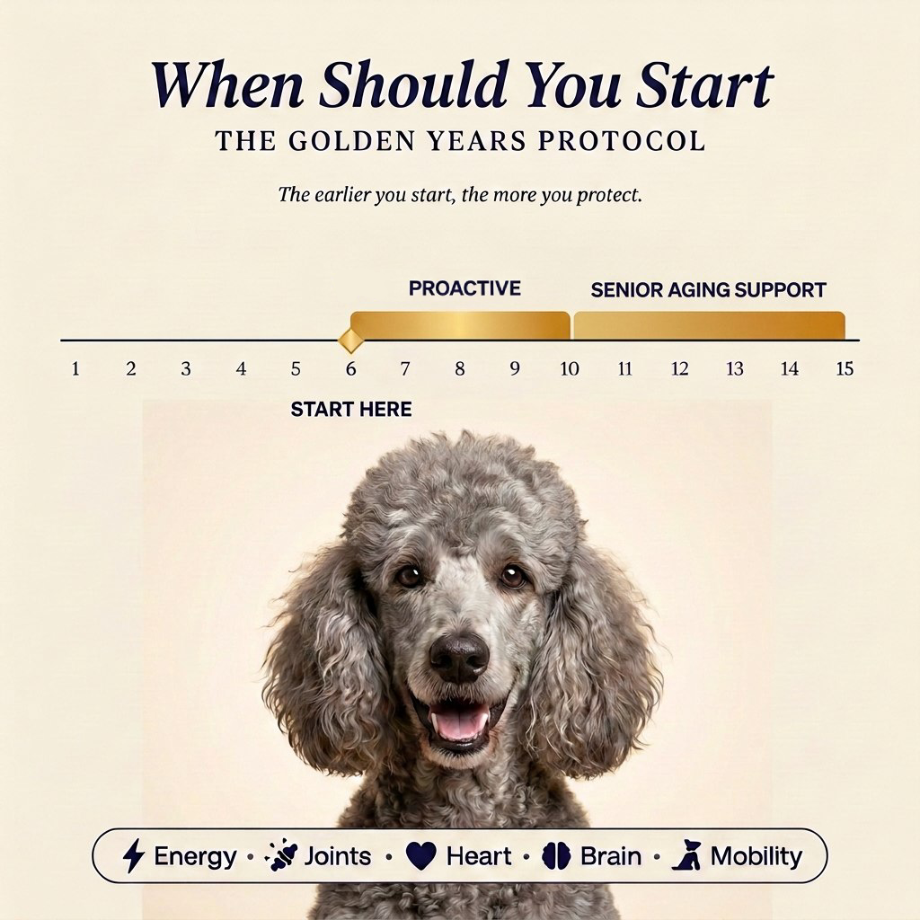 Golden Years Protocol - Boost Their Healthspan