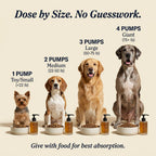 Golden Years Protocol - Boost Their Healthspan