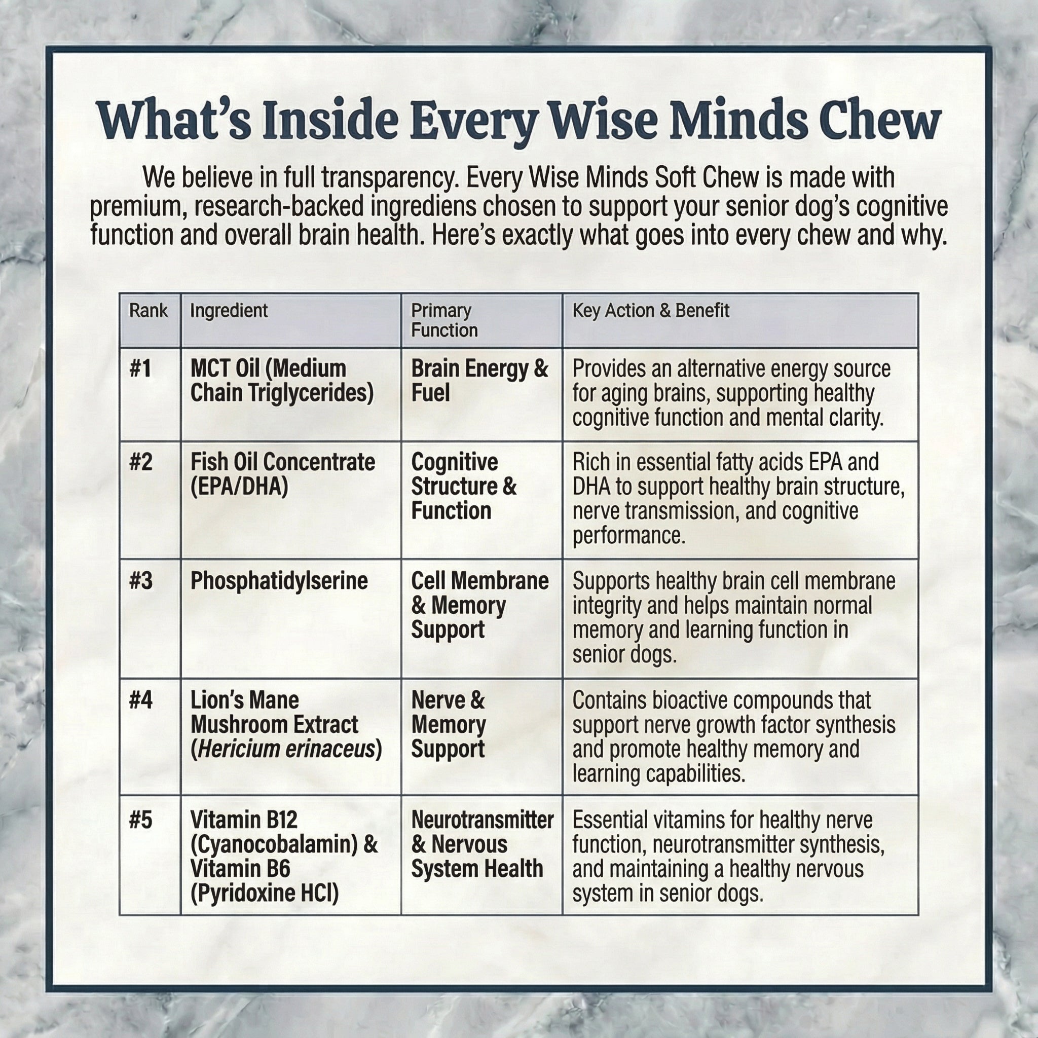 Wise Minds Soft Chews